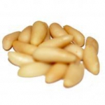 fournisseur Pignons Origine Import