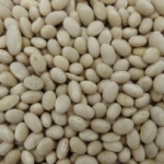 fournisseur Haricots coco  blanc import.