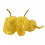 fournisseur Poivrons Grèce Bidon 10kg