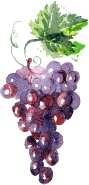 Sélection de vin