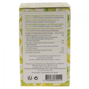 Thé vert boîte 20 pyramides Renuté  CT 20 BTES