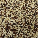 Trio de Quinoa BIO Pérou/Bolivie/Equateur<br>