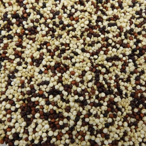 Trio de Quinoa BIO Pérou/Bolivie/Equateur  SAC 5 KG