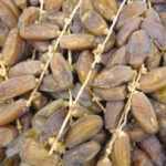 Datte branchée Tunisie Nouvelle récolte 2025<br>