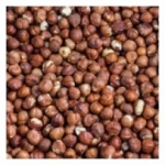 Noisettes décortiquées Romaine Italie 13/15 2022<br>