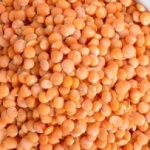 Lentilles corail BIO France <br>
