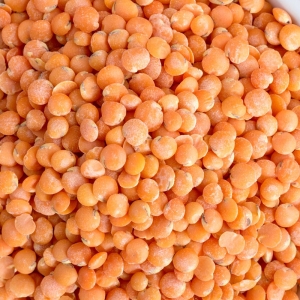 Lentilles corail BIO France   SAC 5 KG