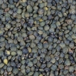 Lentilles vertes BIO France<br>