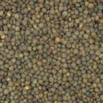 Lentilles vertes Canada  Sac de 5 kg