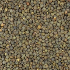 Lentilles vertes Canada  Sac de 5 kg