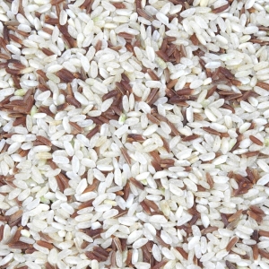Riz duo de Camargue IGP BIO  CT 4 X 5KG