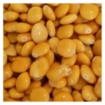 Lupins trempés extra  Espagne<br>