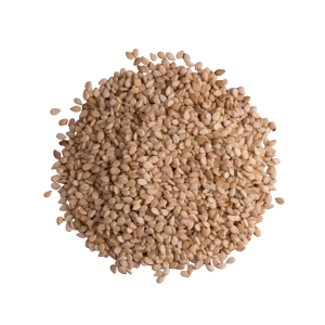 Graines de sésame dorées  Sac de 25kg