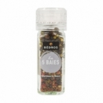 Moulin 5 Baies 40g Bédros<br>