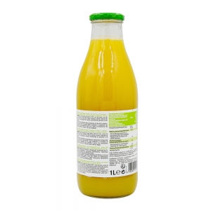 Boisson pomme concombre menthe bouteille 1l  CT 6 BOUT