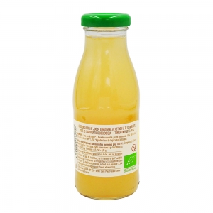 Boisson gingembre et citron BIO bouteille 25cl  CT 12 BTL