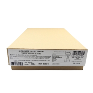 Assortiment de rochers 35g lait praliné noisettes  CARTON DE 1.68KG - 48 PCS 35G