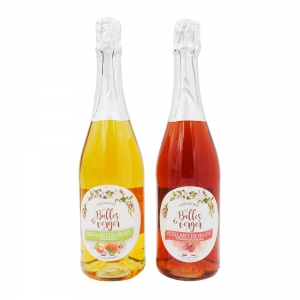 Pétillant pomme framboise bouteille 75cl  carton 6 bouteilles