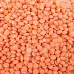 Lentilles corail Canada  Sac de 5kg