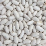 Haricots lingots blancs Argentine  Sac de 5kg