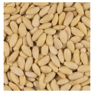 Amandes blanchies émondées  Sac de 5 kg