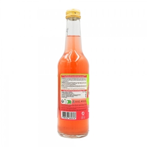 Kombucha framboise citron vert BIO bouteille 33cl  CT 12 BTL