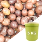 Olives entières Leccino   CT de 2 SEAUX de 5KG