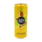 Jus d'ananas 100% canette 33cl<br>