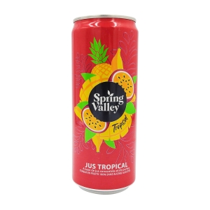 Jus tropical 100% canette 33cl  CT de 24 canettes