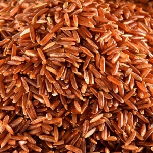 Riz rouge de Camargue BIO IGP  CT 2 X 5 KG