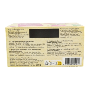 Infusion detox BIO boîte 20 sachets  CT de 12 boîtes