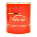 Double concentre de tomate 4/4 880g<br>