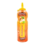 Sauce andalouse flacon 500ml Nawhal's  CT DE 12 TUB 