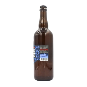 Bière french IPA ANOSTEKE btle 75cl   CT 12
