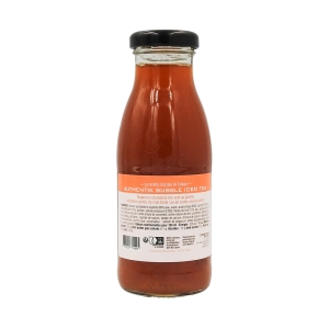 Boisson Bubble tea Iced Tea bouteille 25cl  CT DE 8 BTL