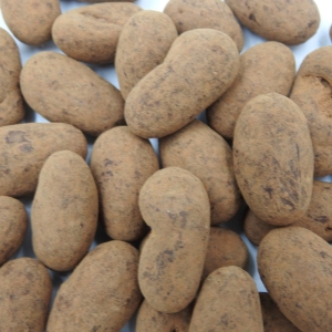 Amandes goût tiramisu  CT DE 3 KG