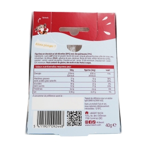Bombe chocolat chaud pièce 40g  CT DE 42 PCE
