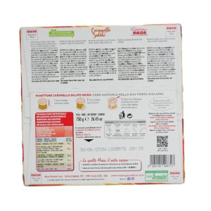 Panettone caramel salé boîte 750g  COL DE 16 BTE