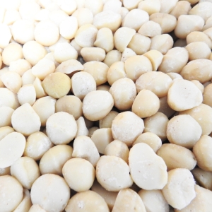 Noix de macadamia crue N°2 Kenya  CT 11.34 KG