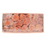 Abricots secs N°5 paquet 1kg Fantasia Récolte 2025  CT DE 10