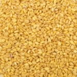 Blé dur précuit <br>