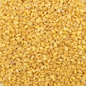 Blé dur précuit   Sac de 5kg