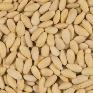 Amandes blanchies émondées ESP/PT  CARTON 10 KG